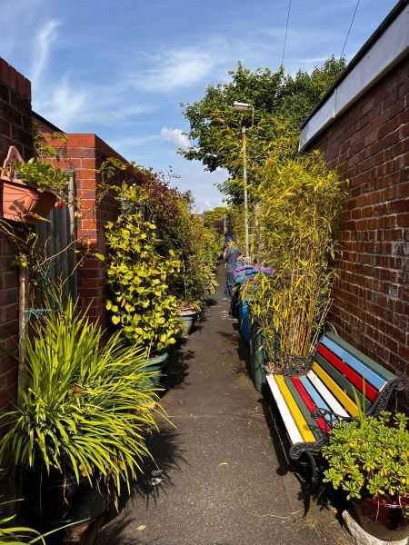 Granby Back Alley Garden